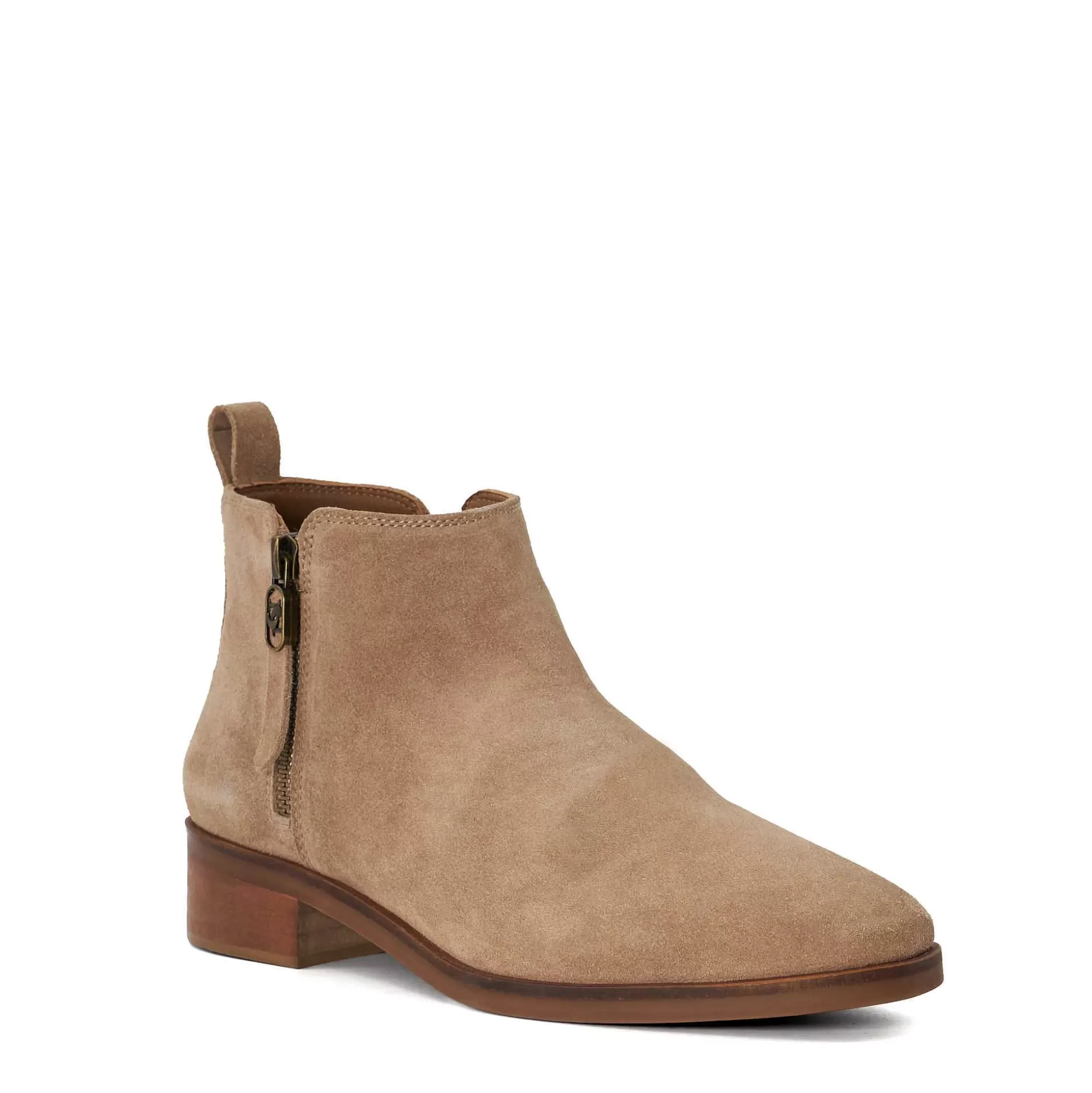 Dune London PROGRESS - TAUPE-Women Ankle Boots