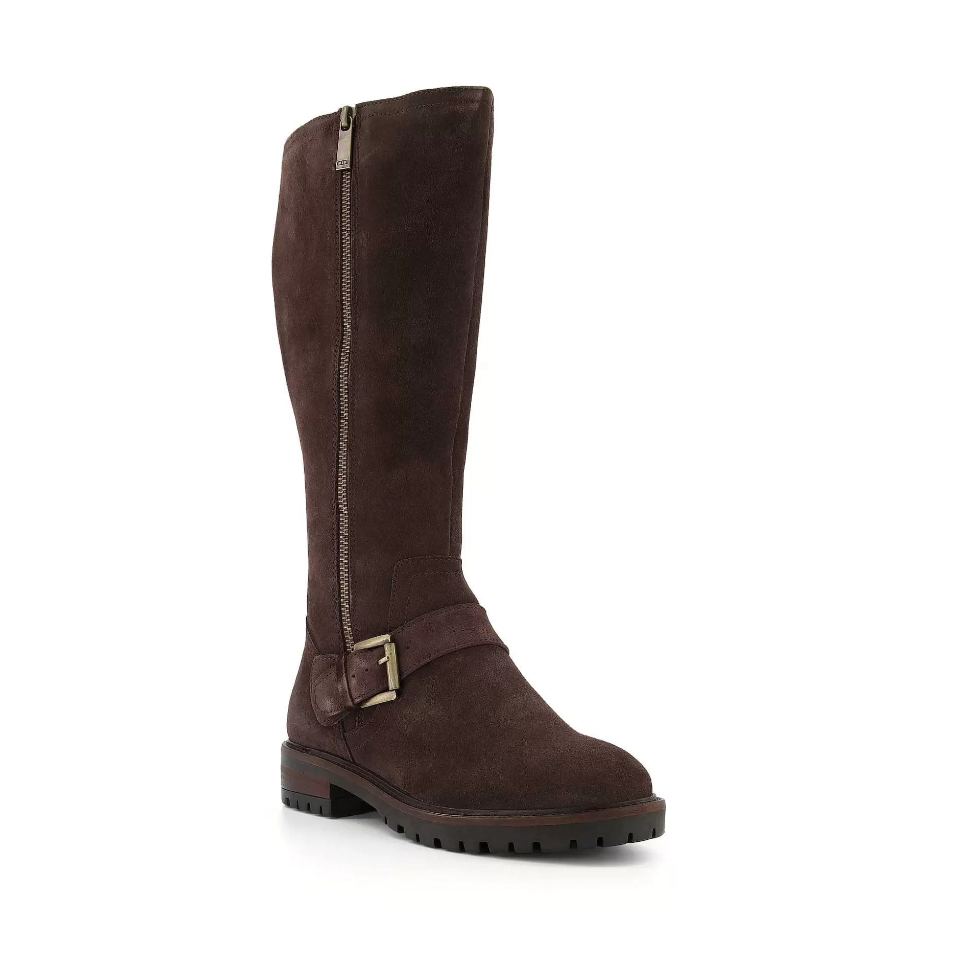Dune London TRAFALGAR - BROWN-Women Knee High Boots